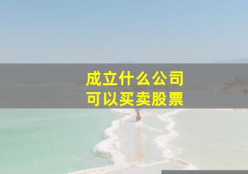 成立什么公司可以买卖股票