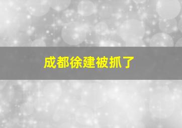 成都徐建被抓了