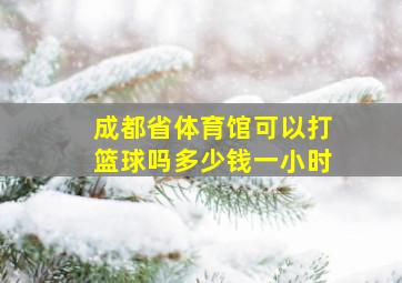 成都省体育馆可以打篮球吗多少钱一小时