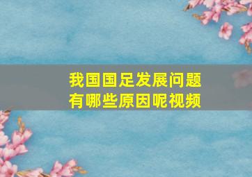 我国国足发展问题有哪些原因呢视频