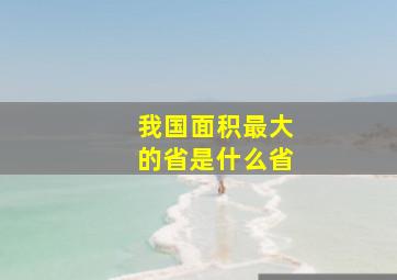 我国面积最大的省是什么省