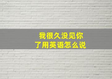 我很久没见你了用英语怎么说