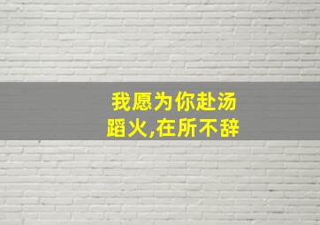 我愿为你赴汤蹈火,在所不辞