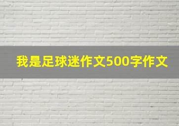 我是足球迷作文500字作文