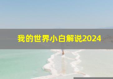 我的世界小白解说2024