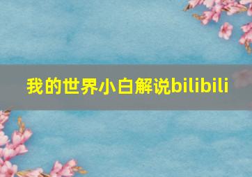 我的世界小白解说bilibili