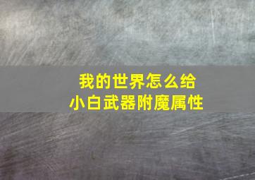 我的世界怎么给小白武器附魔属性