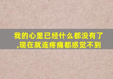 我的心里已经什么都没有了,现在就连疼痛都感觉不到