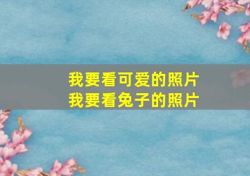 我要看可爱的照片我要看兔子的照片