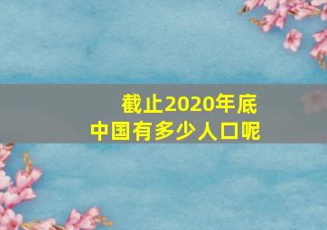 截止2020年底中国有多少人口呢