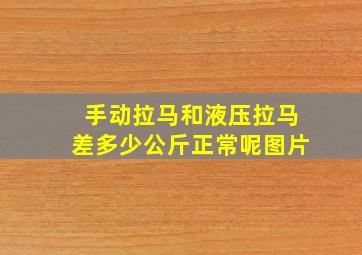 手动拉马和液压拉马差多少公斤正常呢图片