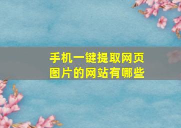 手机一键提取网页图片的网站有哪些