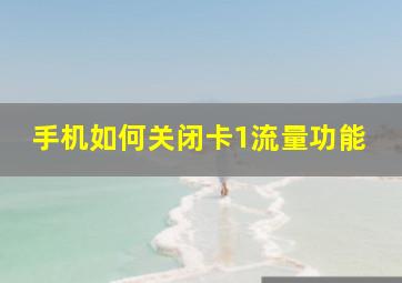 手机如何关闭卡1流量功能