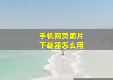 手机网页图片下载器怎么用