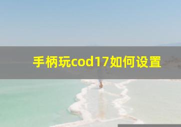 手柄玩cod17如何设置