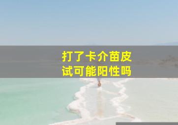 打了卡介苗皮试可能阳性吗