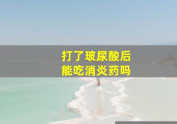 打了玻尿酸后能吃消炎药吗