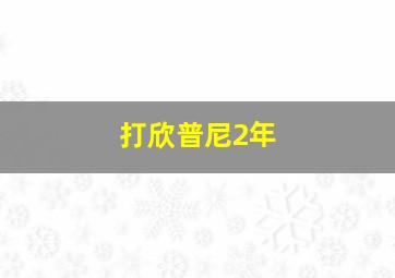 打欣普尼2年