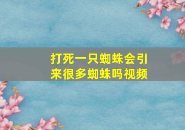 打死一只蜘蛛会引来很多蜘蛛吗视频