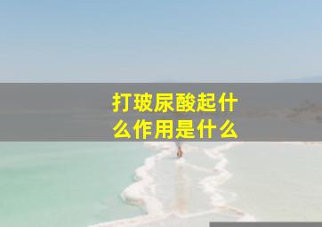 打玻尿酸起什么作用是什么