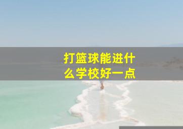 打篮球能进什么学校好一点