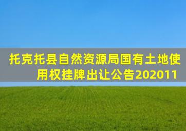 托克托县自然资源局国有土地使用权挂牌出让公告202011