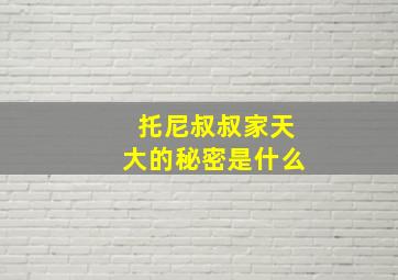 托尼叔叔家天大的秘密是什么