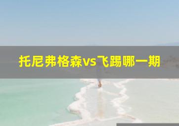 托尼弗格森vs飞踢哪一期