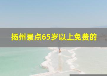 扬州景点65岁以上免费的