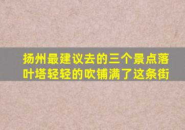 扬州最建议去的三个景点落叶塔轻轻的吹铺满了这条街