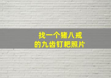 找一个猪八戒的九齿钉耙照片