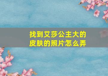 找到艾莎公主大的皮肤的照片怎么弄