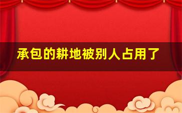 承包的耕地被别人占用了