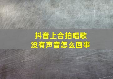 抖音上合拍唱歌没有声音怎么回事