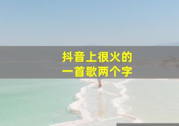 抖音上很火的一首歌两个字