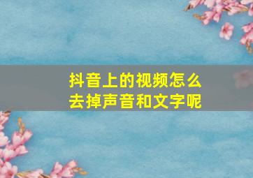 抖音上的视频怎么去掉声音和文字呢