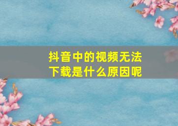 抖音中的视频无法下载是什么原因呢