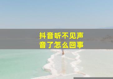 抖音听不见声音了怎么回事