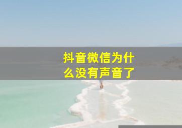 抖音微信为什么没有声音了