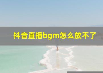 抖音直播bgm怎么放不了