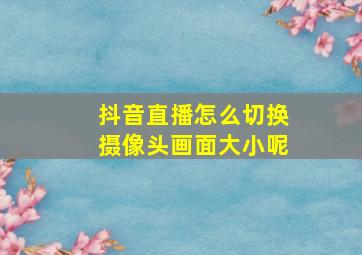 抖音直播怎么切换摄像头画面大小呢