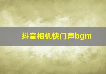 抖音相机快门声bgm