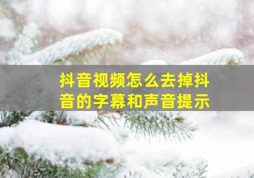 抖音视频怎么去掉抖音的字幕和声音提示