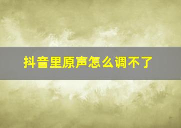 抖音里原声怎么调不了