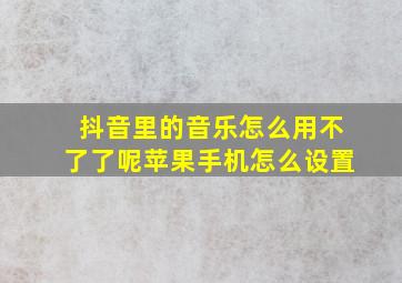 抖音里的音乐怎么用不了了呢苹果手机怎么设置