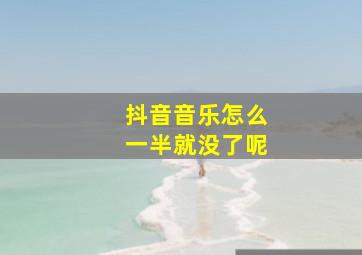 抖音音乐怎么一半就没了呢