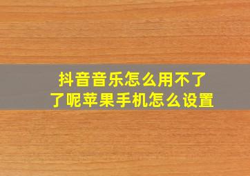 抖音音乐怎么用不了了呢苹果手机怎么设置