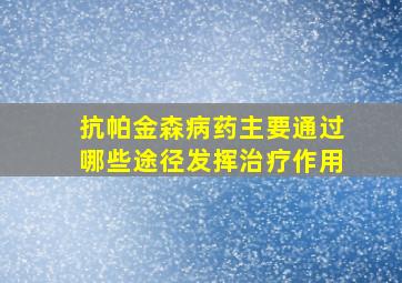 抗帕金森病药主要通过哪些途径发挥治疗作用