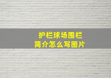 护栏球场围栏简介怎么写图片