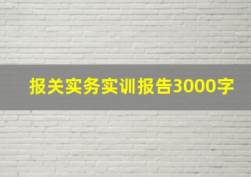 报关实务实训报告3000字